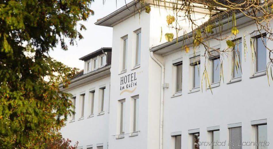 Hotel Am Rhein Wesseling Extérieur photo